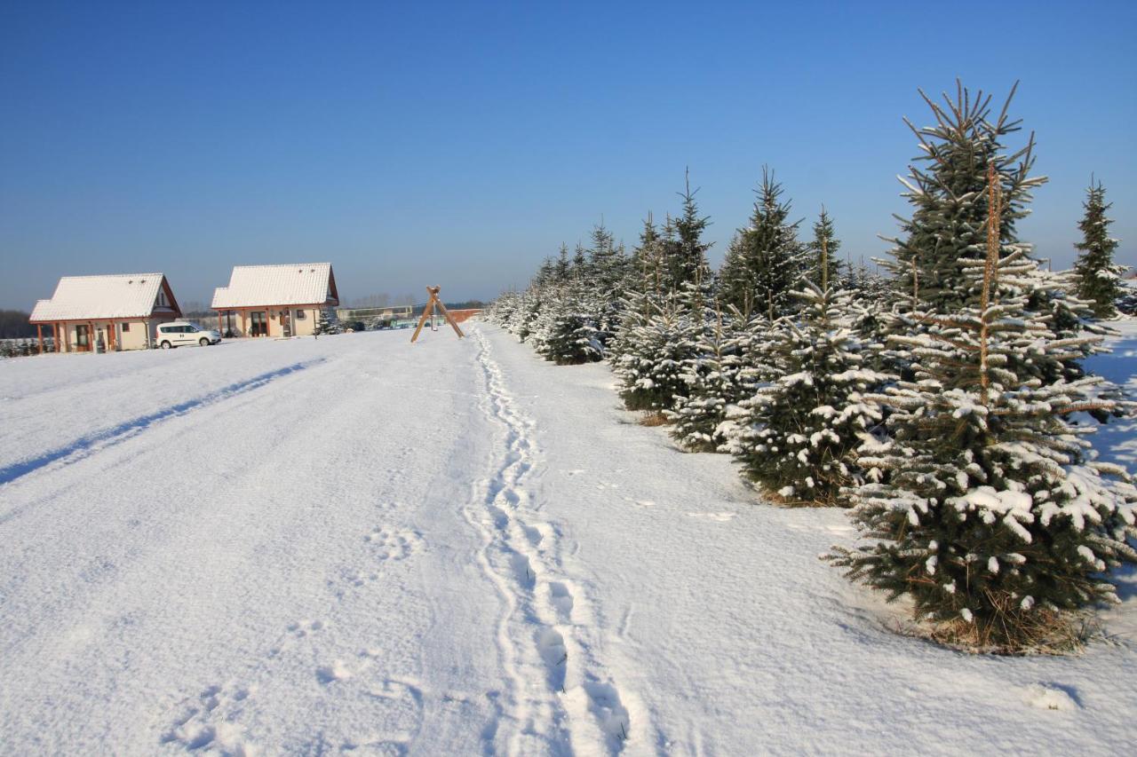 Wygodny Murowany Domek- Nowy Dąbki Exterior photo