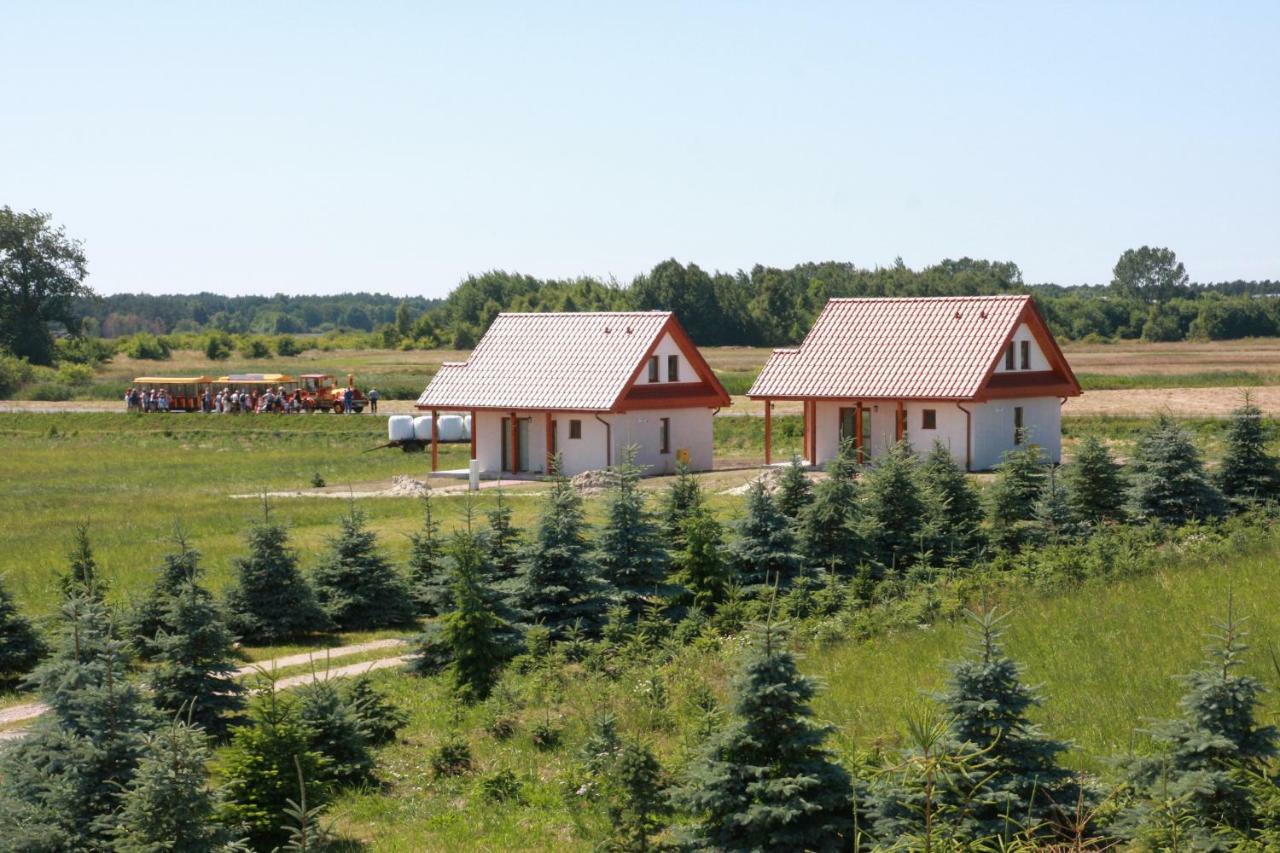 Wygodny Murowany Domek- Nowy Dąbki Exterior photo